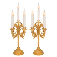 Pair of French 19th Century Louis XVI St. Ormolu Candelabra Lamps