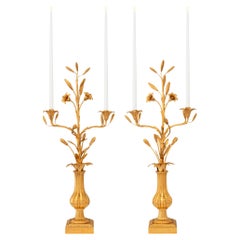 pair of French 19th century Louis XVI st. Ormolu candelabras
