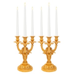 pair of French 19th century Louis XVI st. Ormolu candelabras