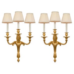 Pair of French 19th Century Louis XVI St. Ormolu Three-Arm Sconces