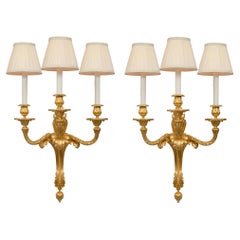 Antique Pair of French 19th Century Louis XVI St. Ormolu Three-Arm Sconces