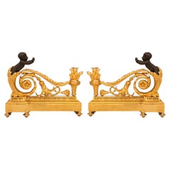 Paire de chenets en bronze patiné et bronze doré de style Louis XVI du XIXe siècle