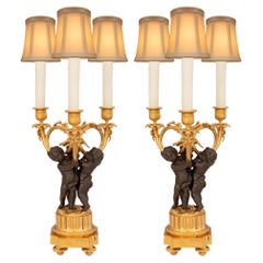 Paire de lampes de style Louis XVI du 19ème siècle en bronze patiné et bronze doré