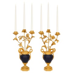 Coppia di candelabri francesi del XIX secolo in porcellana di Sèvres in stile Luigi XVI