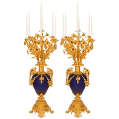 Pareja De Candelabros Franceses Del Siglo XIX Luis XVI De Porcelana Y Ormolu De Sèvres