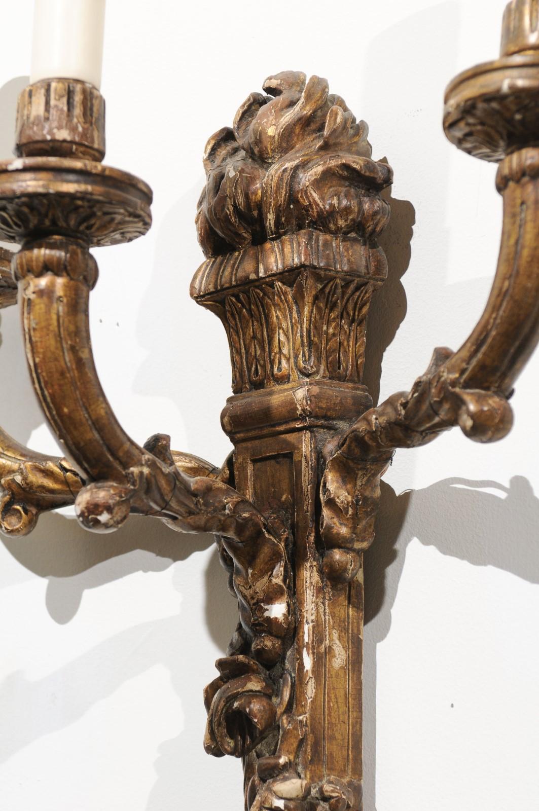 Pair of French 19th Century Louis XVI Style Carved and Gilded Wall Sconces (Holz)