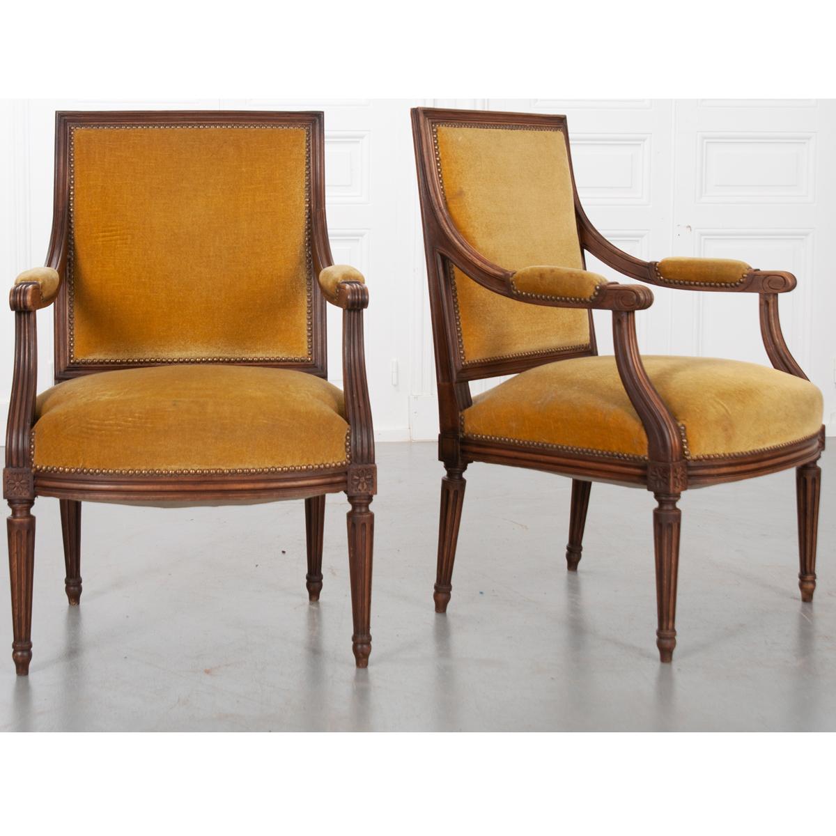 An incredibly handsome pair of French Louis-XVI style oak Fauteuils, c. 1880. The pair has yellow/gold antique upholstery with a slight green tint, all trimmed with a nailhead border. They have exceptional frames and are adorned with fabulous