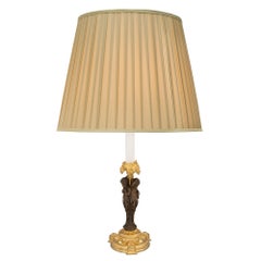 Pair of French 19th Century Louis XVI Style Ormolu and Bronze Lamps