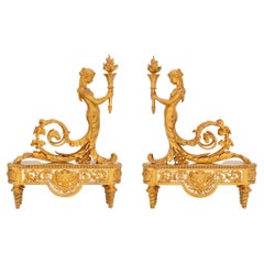 Paire de chenets français de style Louis XVI du 19ème siècle en bronze doré et argenté
