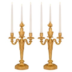 Paire de candélabres en bronze doré de style Louis XVI du XIXe siècle français