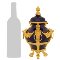 pair of French 19th century Neo-Classical st. Sévres Porcelain and Ormolu urns