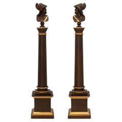 Paire de colonnes néoclassiques françaises du 19ème siècle en bronze patiné et bronze doré