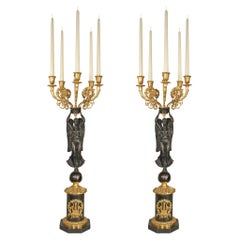 Pair of French 19th Century Neoclassical Style Five-Arm Candelabras