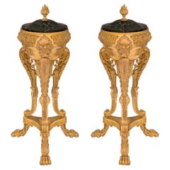 Antique Pair of French 19th Century Neoclassical Style Ormolu and Marble Lidded Urns