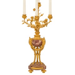 Coppia di candelabri francesi del XIX secolo in marmo e ormolù
