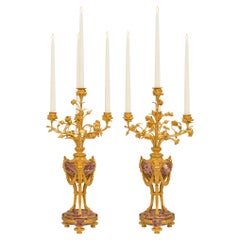 Pair of French 19th Century Ormolu and Marble Candelabras