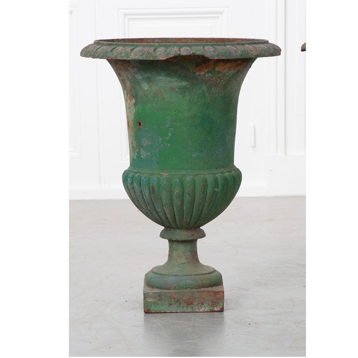 Pair of French 19th Century Painted Cast Iron Urns at 1stDibs how to