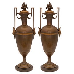 Pair of French 19th Century Renaissance St. Patinated Bronze and Ormolu Urns
