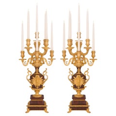 Coppia di candelabri a nove bracci in stile rinascimentale francese del XIX secolo