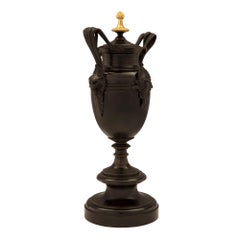 Pair of French 19th Century Renaissance Style Patinated Bronze and Ormolu Urns