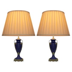 pair of French 19th century Sèvres Porcelain and patinated Bronze lamps