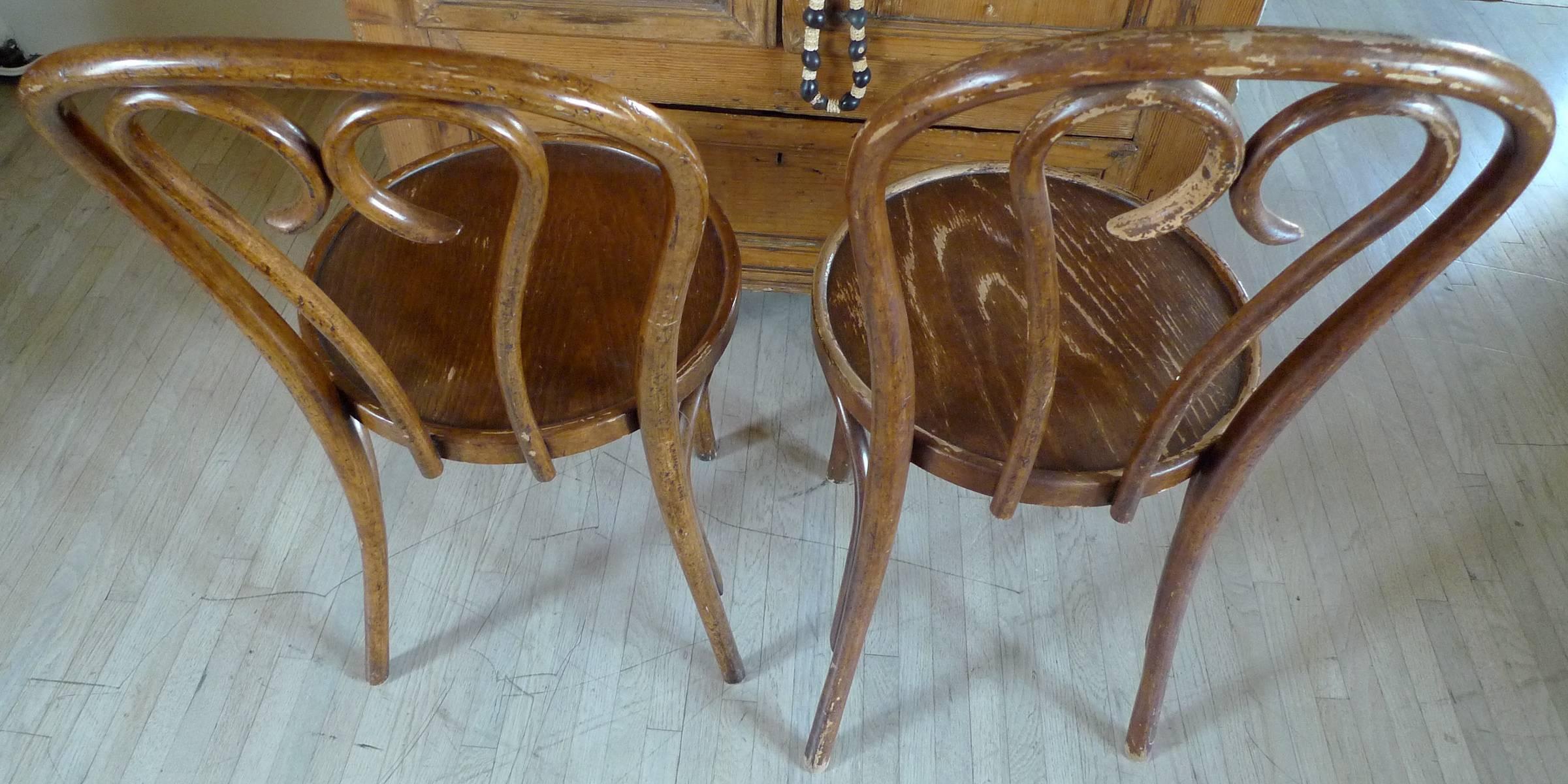 Pair of French 19th Century Stained Bentwood Side Chairs 1