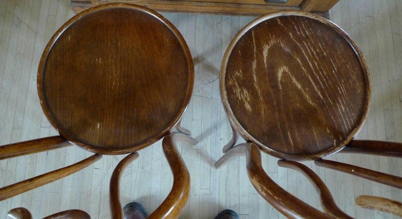 Pair of French 19th Century Stained Bentwood Side Chairs For Sale 1