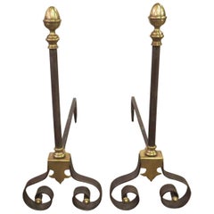 Pair of French 19th Century Steel and Brass Chenets