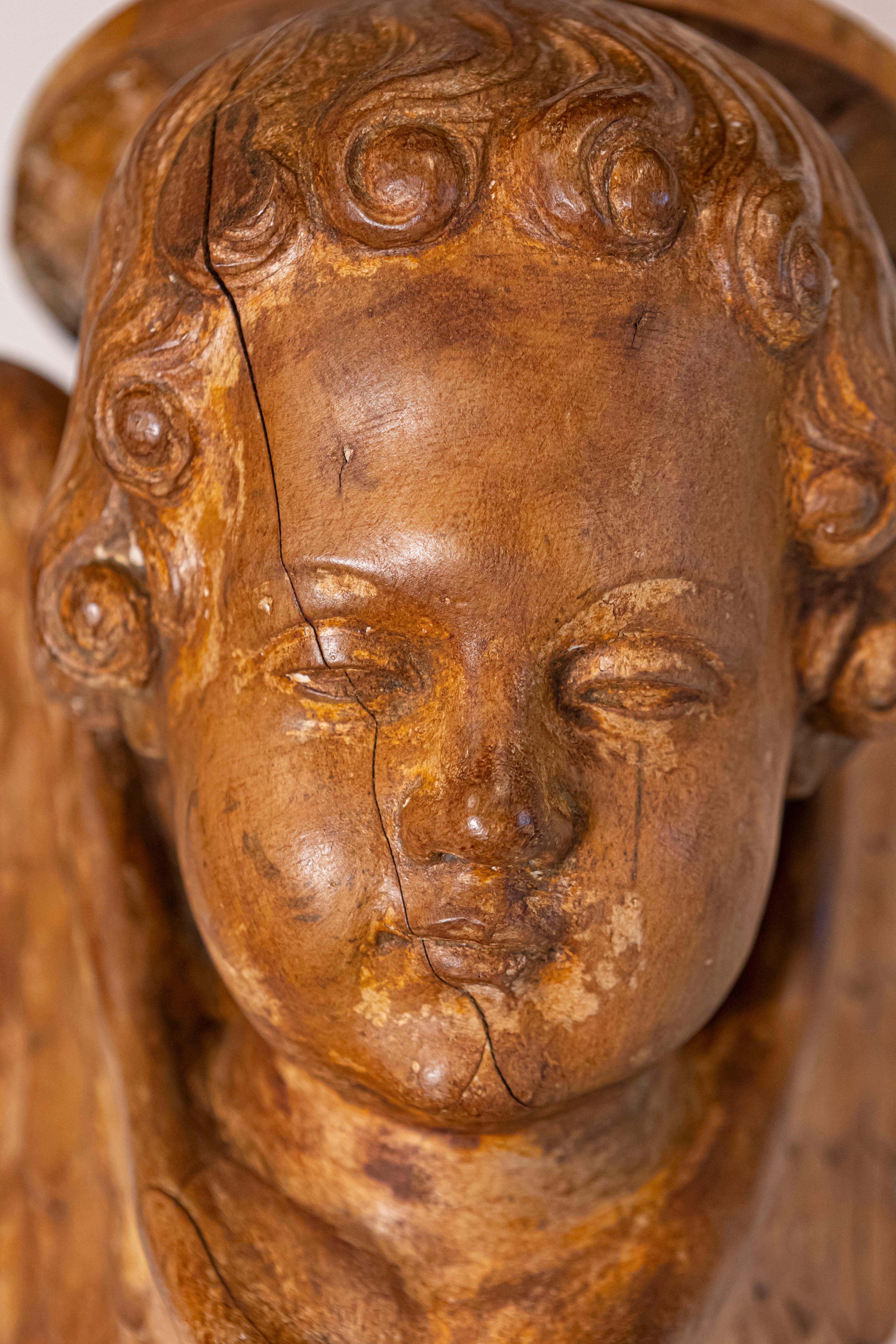Pair of French 19th Century Wooden Wall Brackets with Carved Cherubs For Sale 6