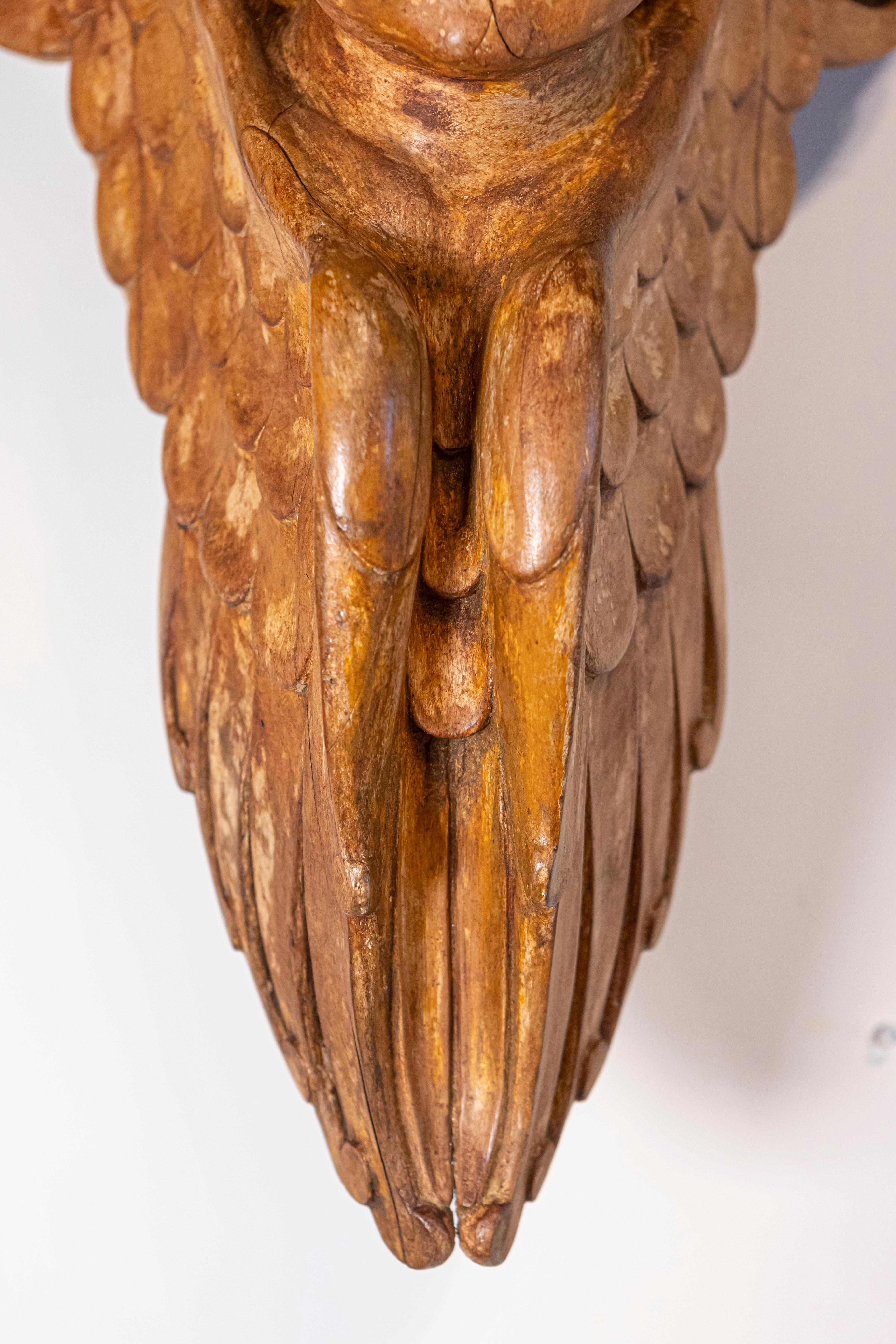 Pair of French 19th Century Wooden Wall Brackets with Carved Cherubs For Sale 4