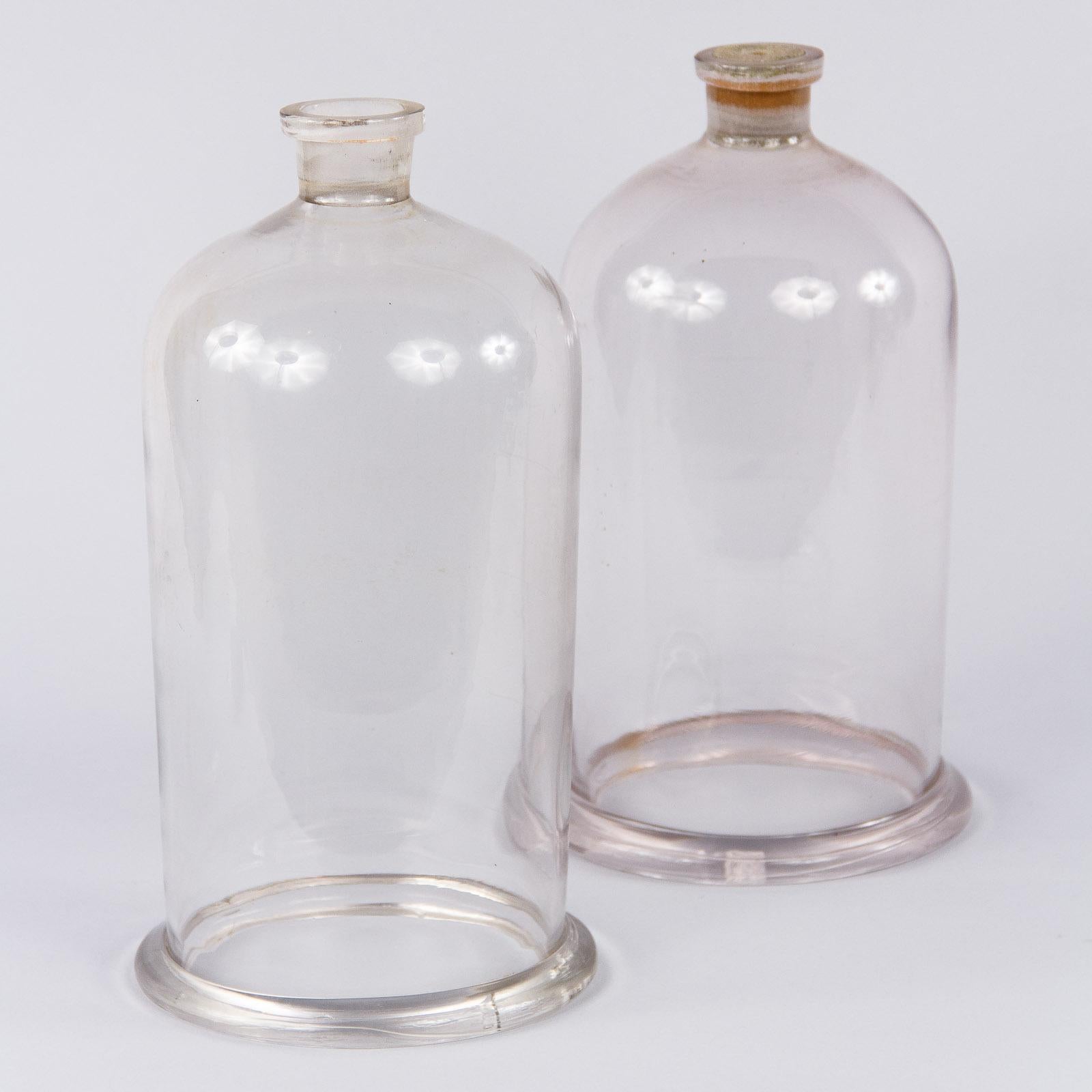 Pair of French Antique Chemist Glass Bells, Late 1800s 3