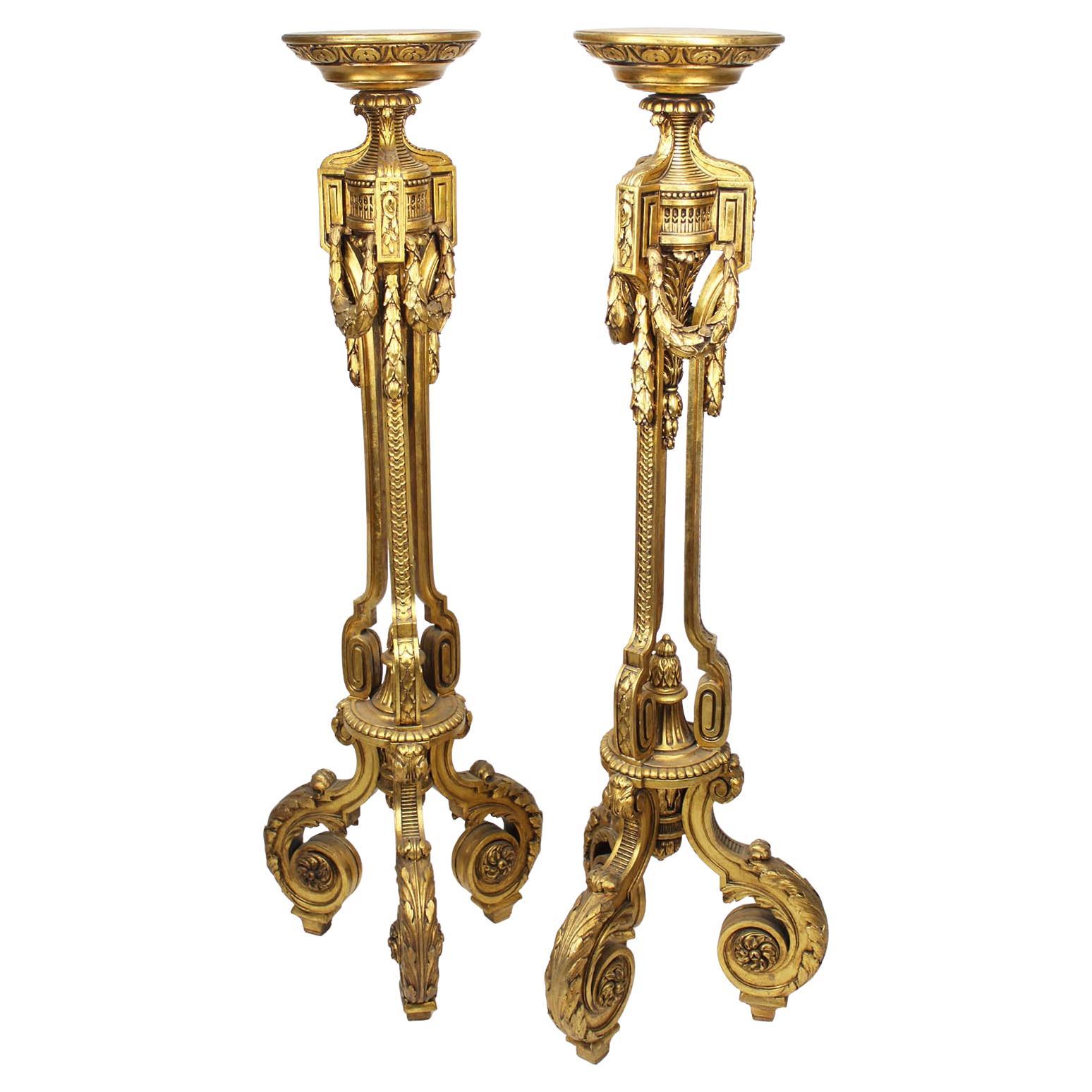 Pareja de Torchere (Torchière) francesas talladas en madera dorada estilo Luis XVI de la French Belle Epoque