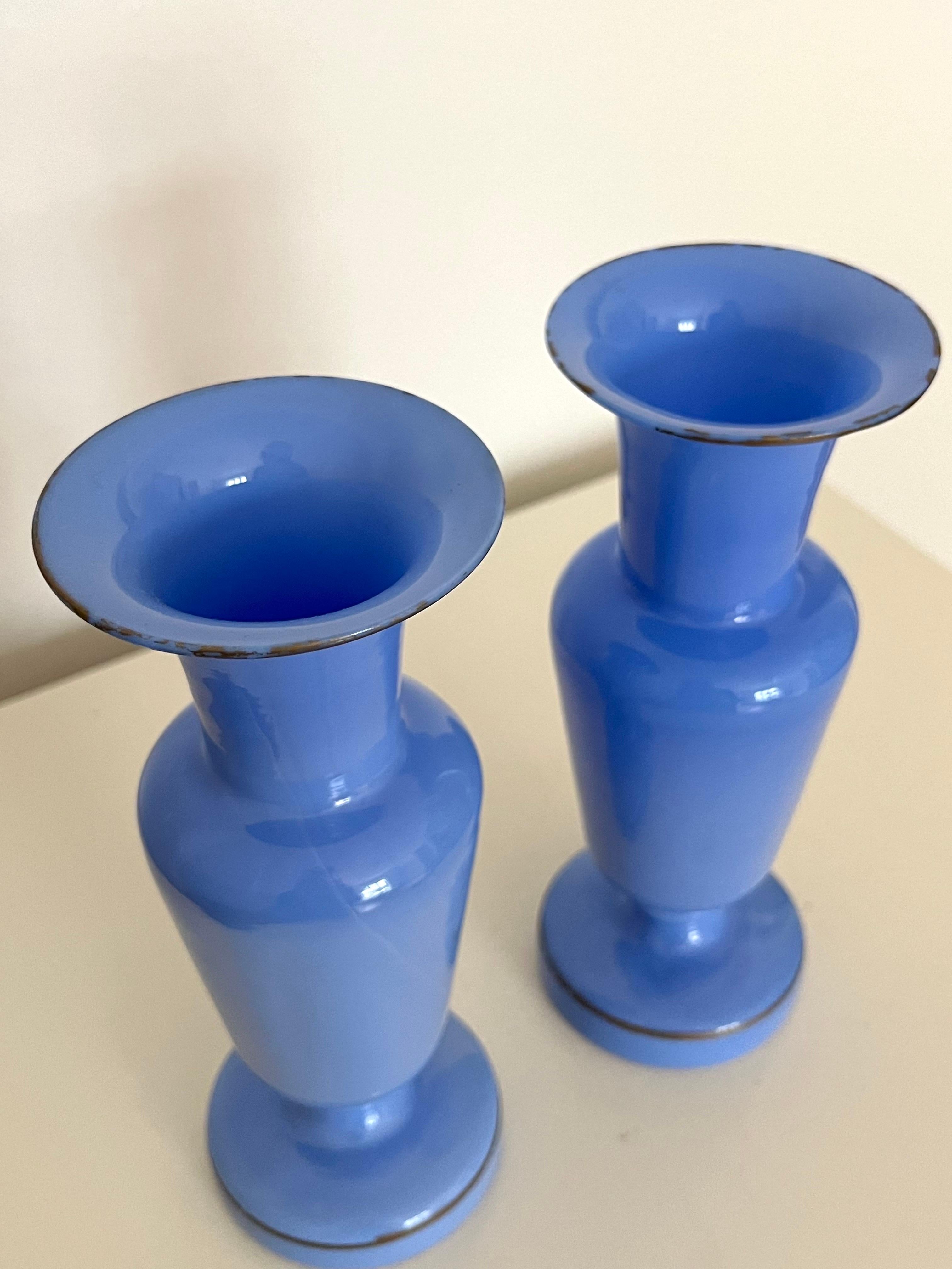 Pair of French Blue Opaline Glass Vases w. Hand-Painted Botanical Motifs, 1890s For Sale 12