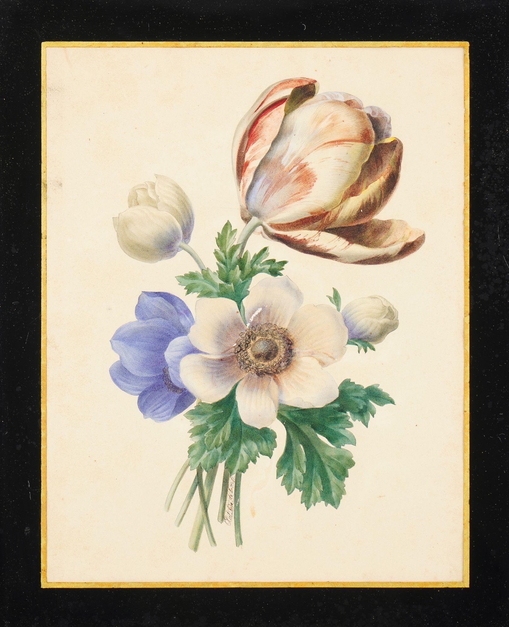 Paire d'aquarelles botaniques françaises de Clotilde de Bost, vers 1815 en vente 4