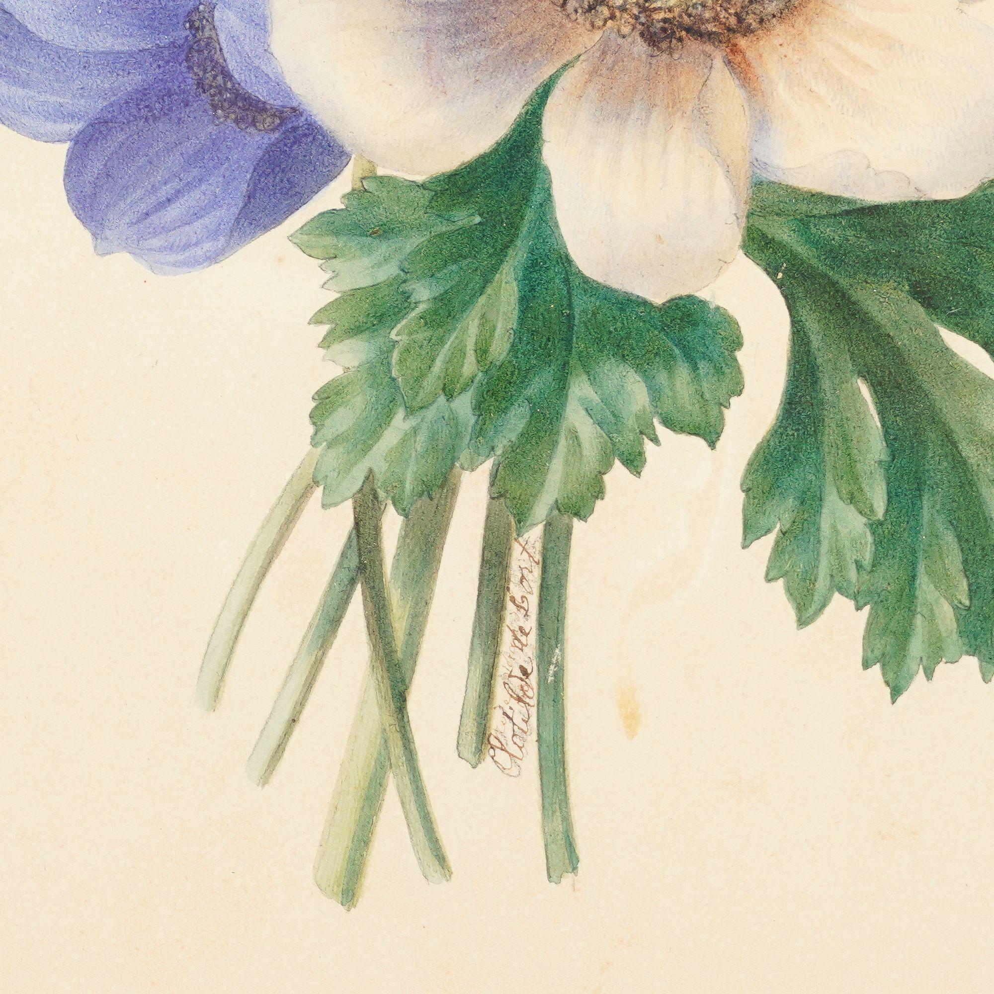 Paire d'aquarelles botaniques françaises de Clotilde de Bost, vers 1815 en vente 5