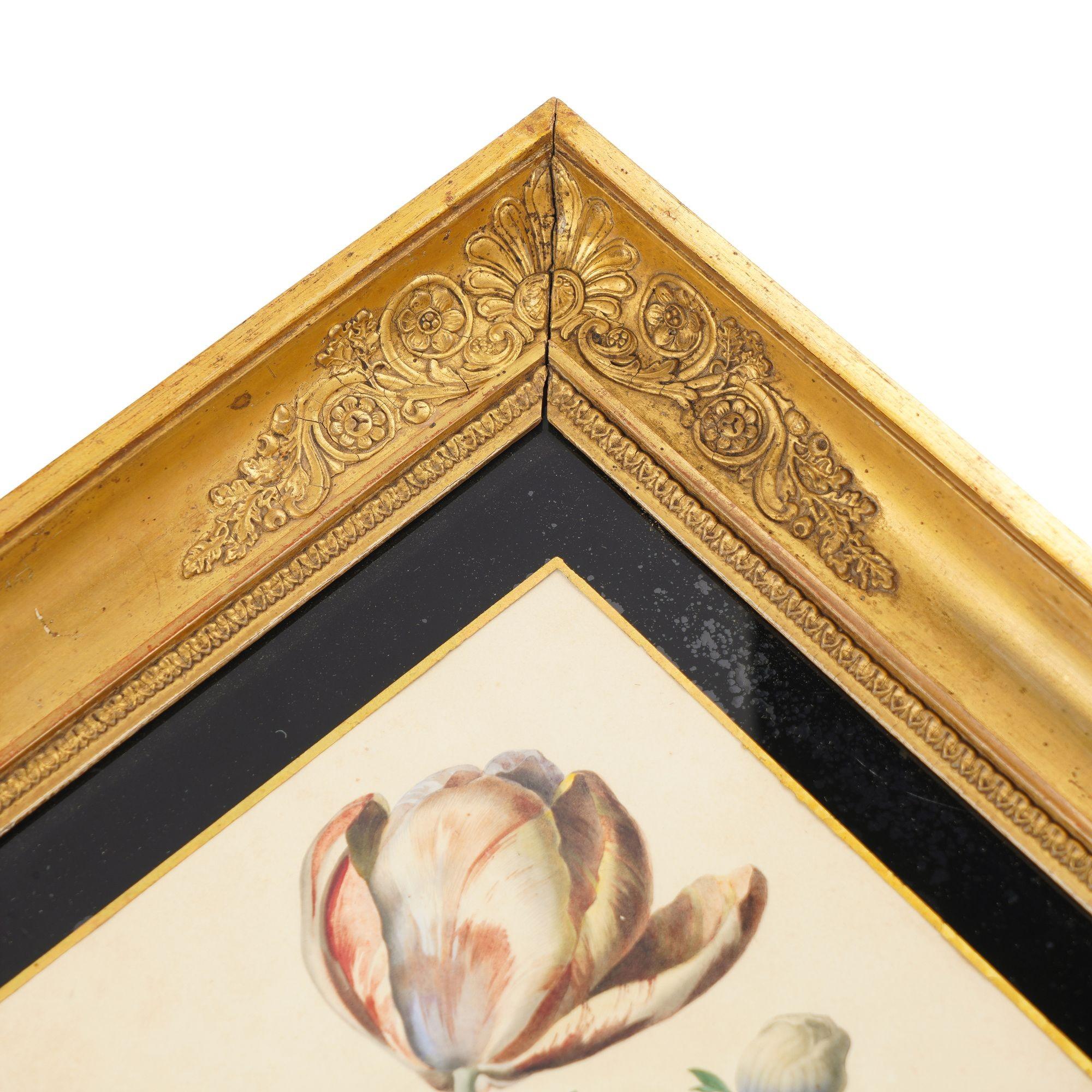 Paire d'aquarelles botaniques françaises de Clotilde de Bost, vers 1815 en vente 7