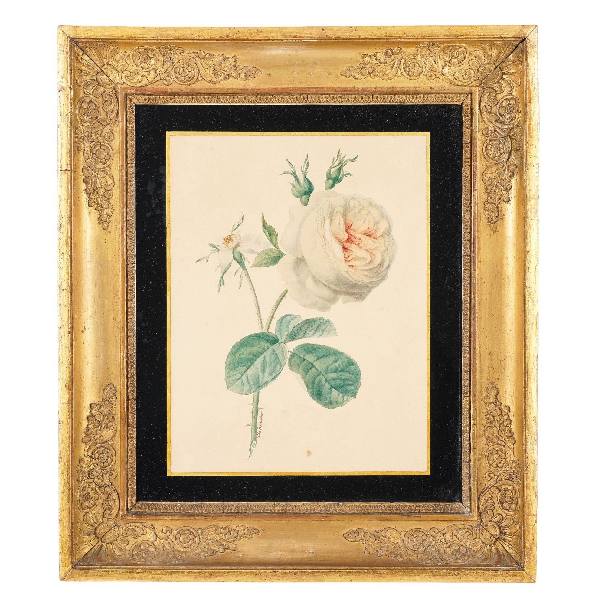 Paire d'aquarelles botaniques originales représentant des bouquets de fleurs, peintes sur papier et encadrées dans leurs moulures d'origine en feuilles d'or de l'Empire français.

France, vers 1815.