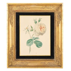 Paar französische botanische Aquarelle von Clotilde de Bost, um 1815