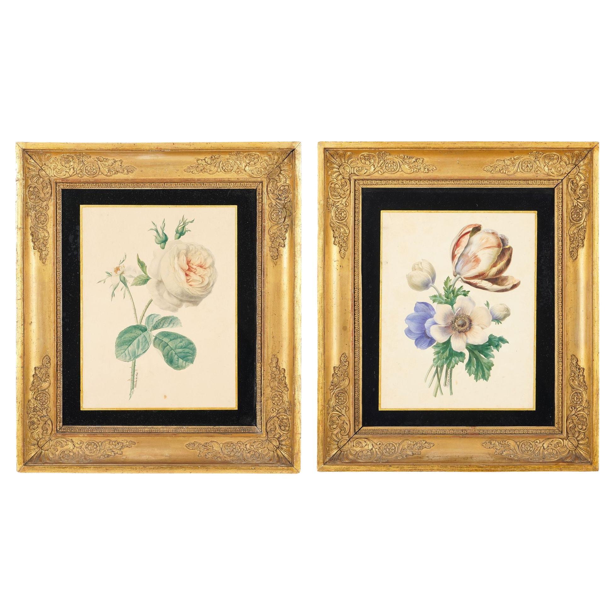 Pair of French botanical watercolors by Clotilde de Bost, c. 1815