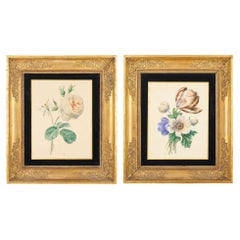 Pair of French botanical watercolors by Clotilde de Bost, c. 1815