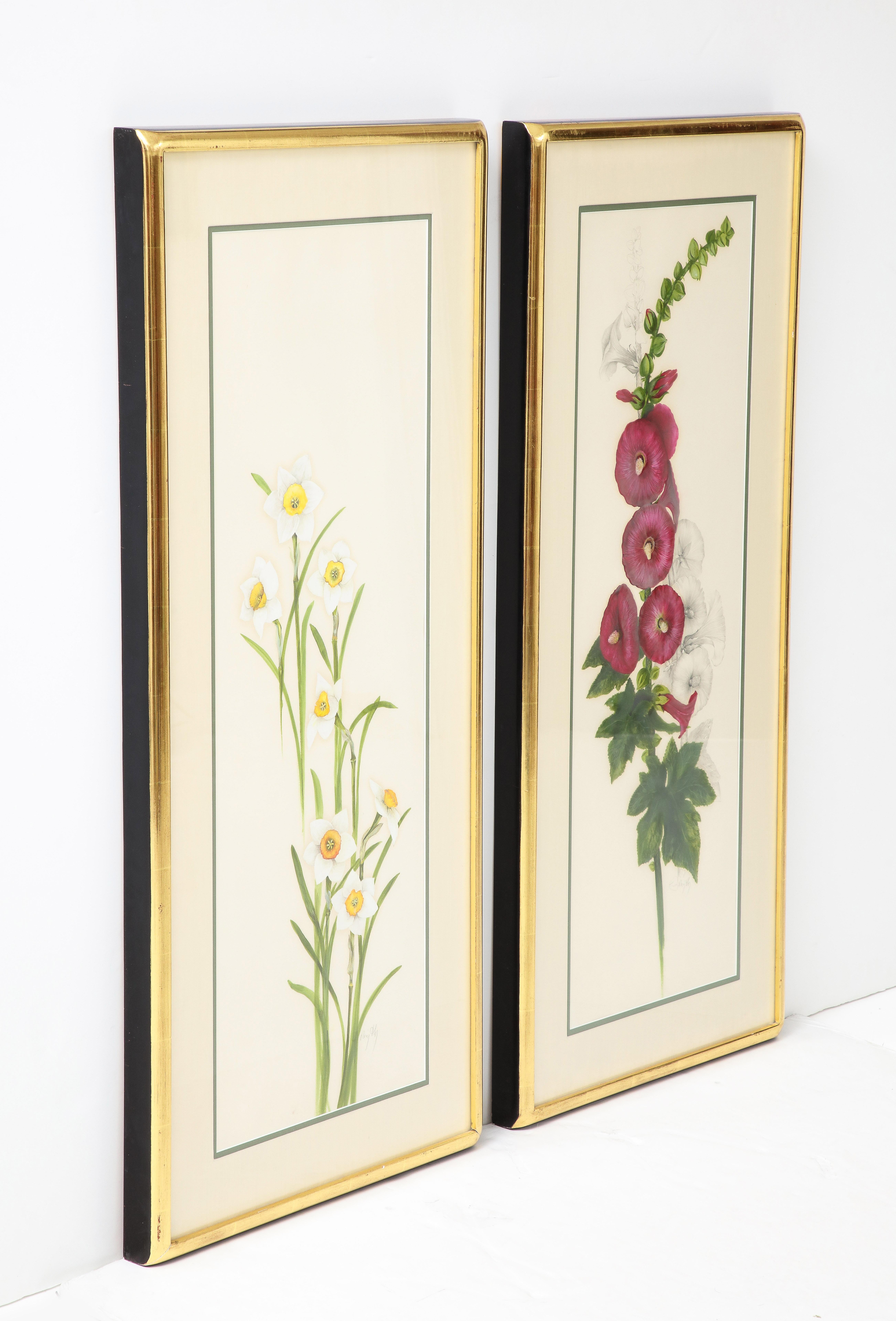 Une étonnante paire de botaniques colorées à la main dans un format inhabituel de narcisses et de fleurs de roses dans de beaux cadres dorés.