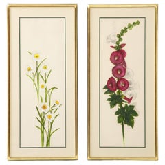 Pair of French Botanicals 