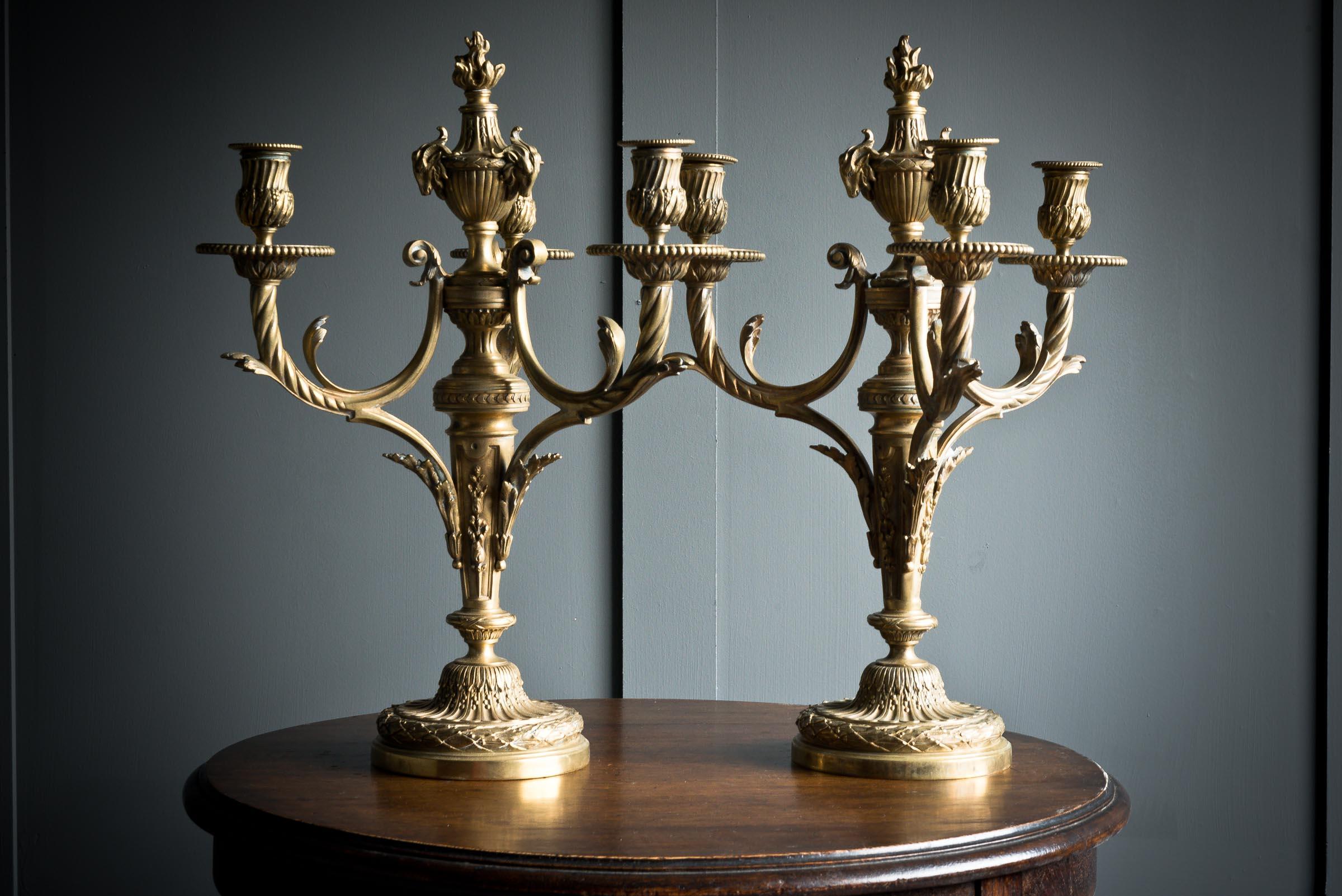 Stunning twin pair of french brass candelabra each consisting of three scrolled arms delicatley sitting on a shallow dome base. All arms entacted with candle holder cups complete ready for use. 
