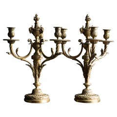 Used Pair of French Brass Candle Sticks