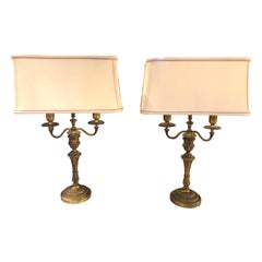 Antique Pair of French Bronze 2-Light Lamps with Silk Shades