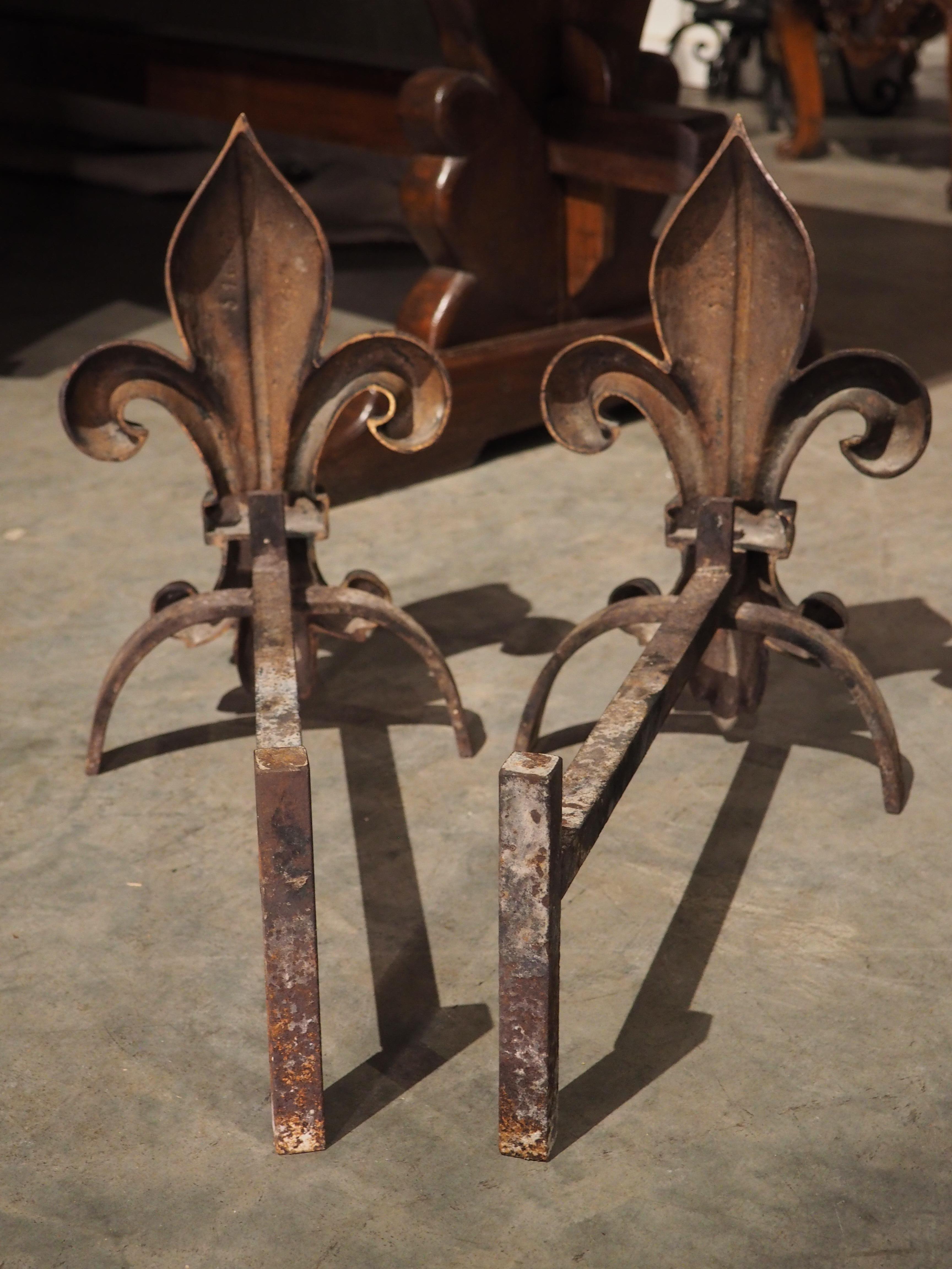 Pair of French Bronze and Wrought Iron Fleur De Lys Chenets, Circa 1920s For Sale 2