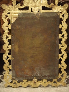 Pair of French Bronze Dore Mirrors with Mascarons and Floral Motifs, circa 1880