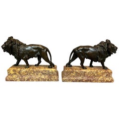 Pair of French Bronze Lions