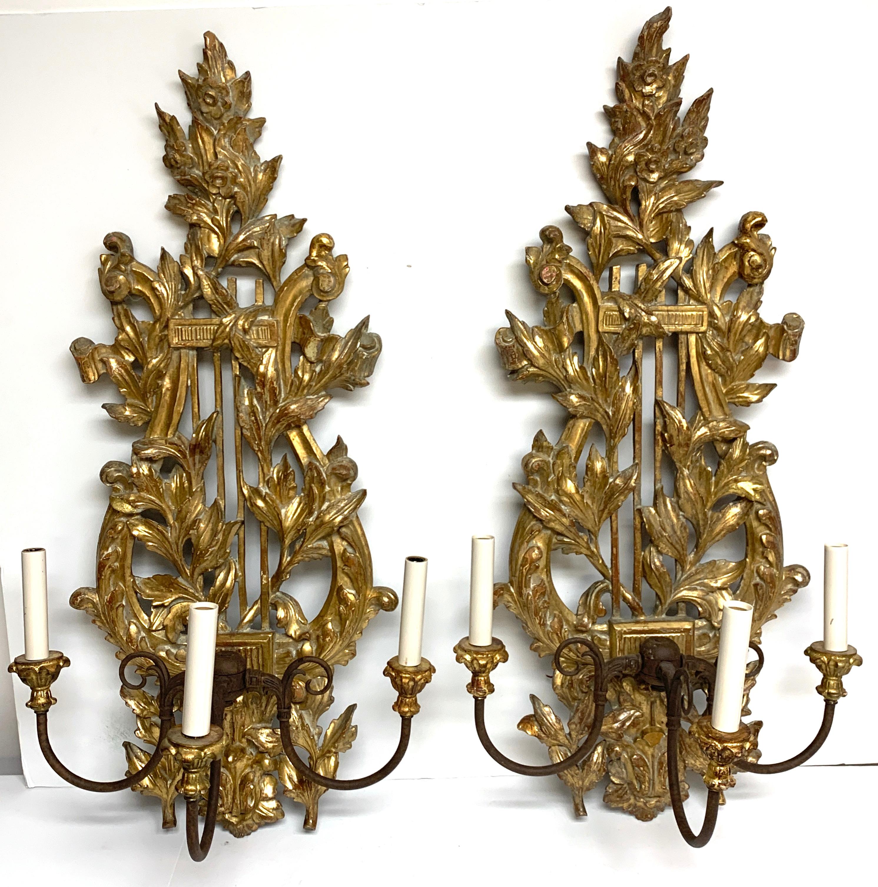 Pair of French Carved Giltwood Lyre Motif Three Light Wall Sconces, Each one beautifully carved, gessoed and water gilt, fitted with three patinated bronze candelabra lights. Each sconce measures 32