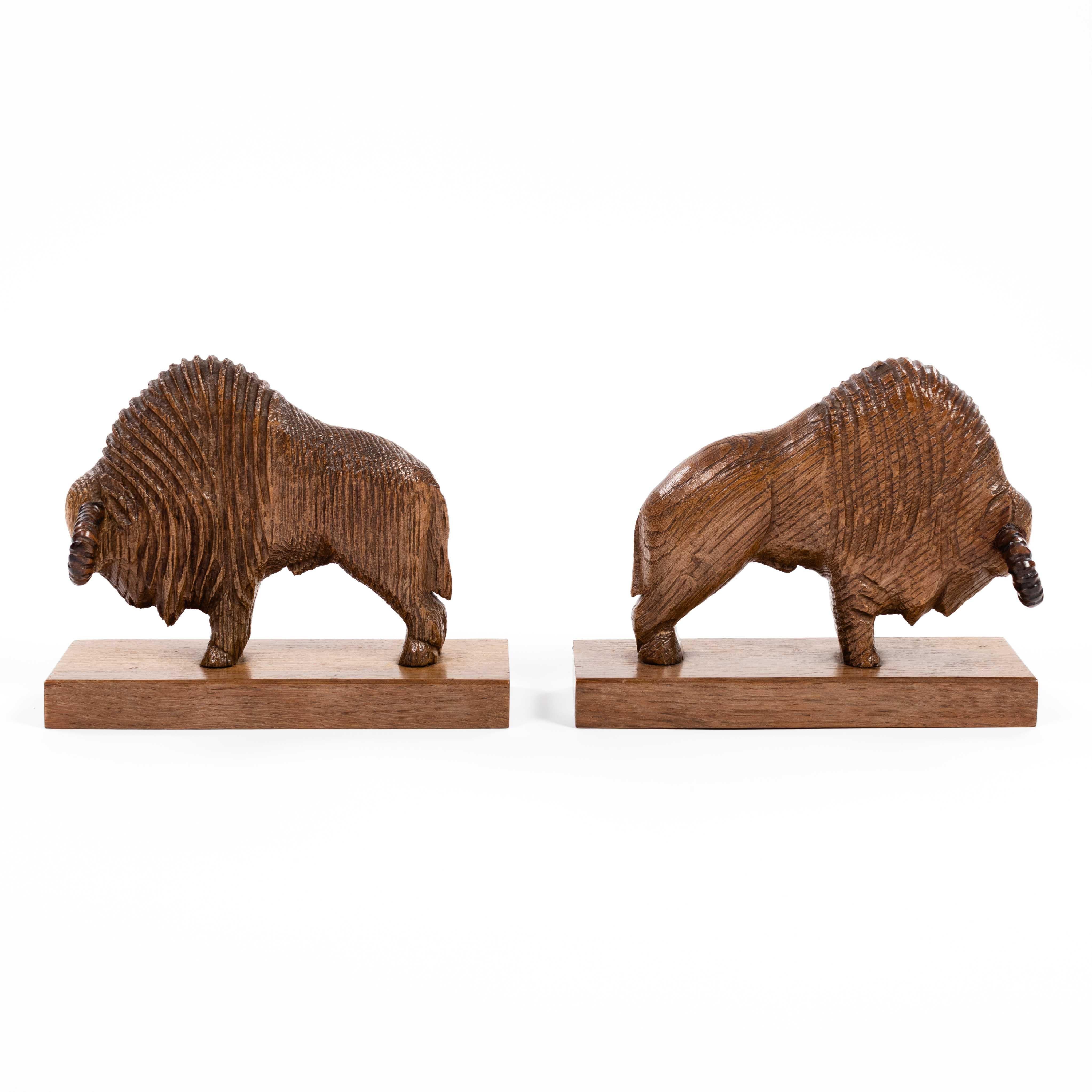 wooden bison